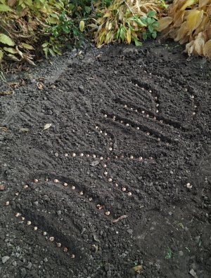 Projekt KROKUS 2025